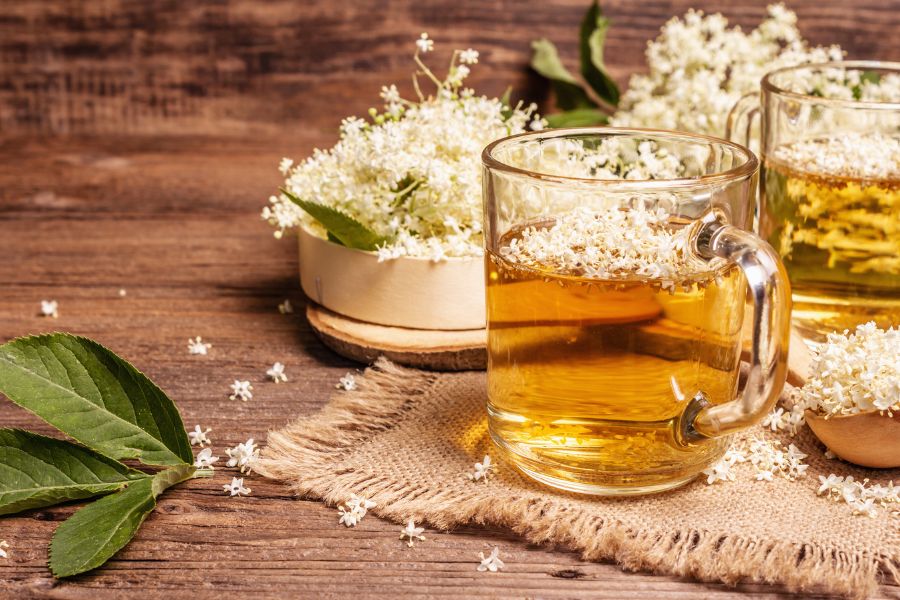 Bodza tea 1
